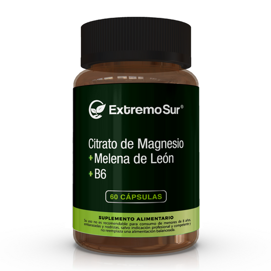 Citrato de Magnesio + Melena de León + B6